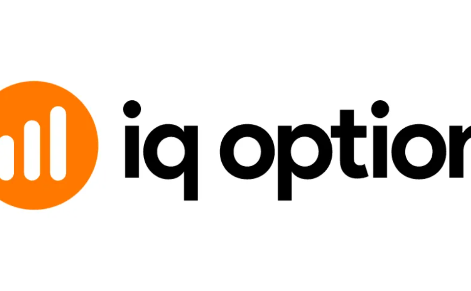 iq opinion 1