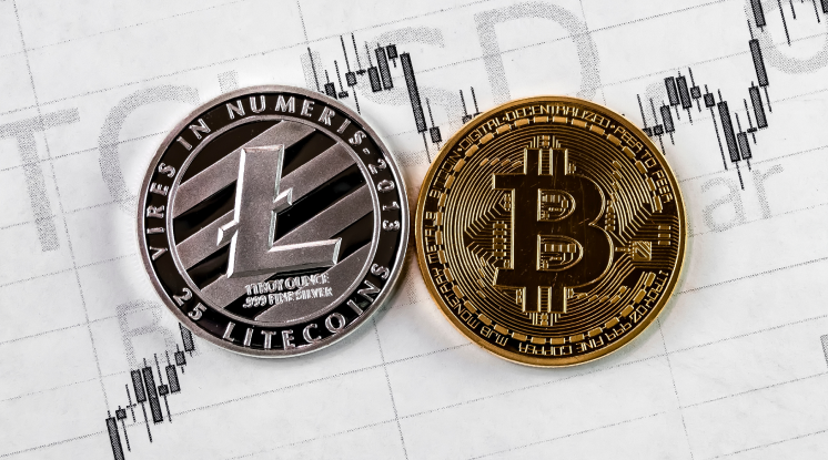 لايتكوين مقابل بيتكوين أيهما هو الاستثمار الأفضل في عام